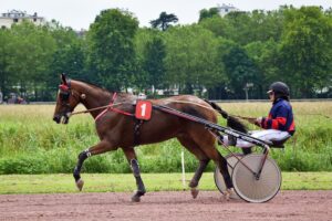 devenir jockey