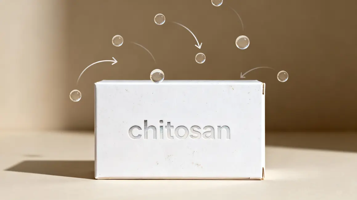 chitosan absorbeur graisse lipide complement