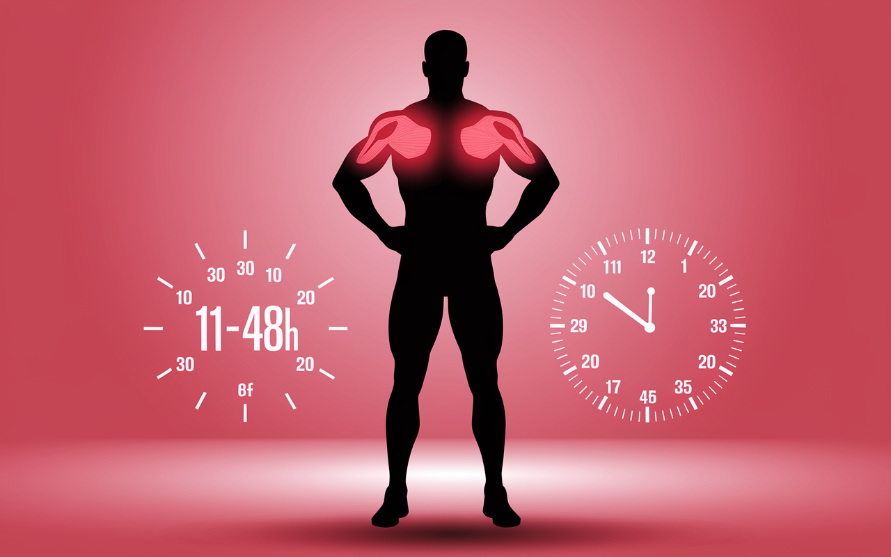 courbatures apres musculation bon signe bras jambes douleur