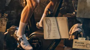 Muscle velo : cuisses et fessiers en action au pédalage