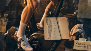 Muscle velo : cuisses et fessiers en action au pédalage